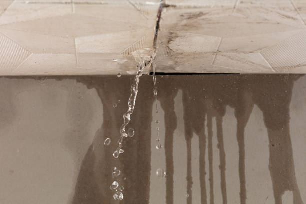 Professional Burst Pipe Cleanup technician working in Loretto, MN